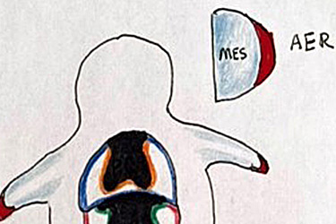 2.1 Skeletal Development