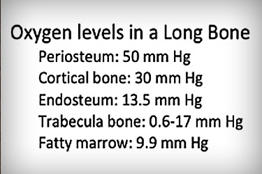 6.1 Oxygen, Bone Biology, Tumors