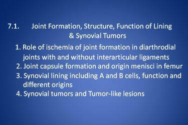 Stem - 7.1 Joint Formation, Structure, Tumors