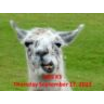 Test Powerpoint